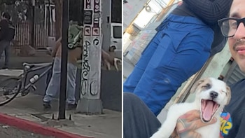 Captan abandono de una perrita en Tijuana pero influencer y su pareja logran salvarla