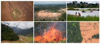 Combo de seis fotografías de