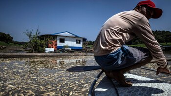 El barquero Paulo Monteiro da