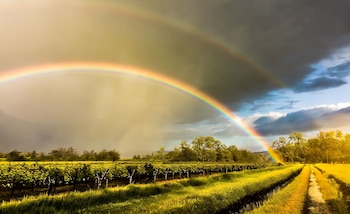 La temperatura es probabilística para nubosidad y lluvia