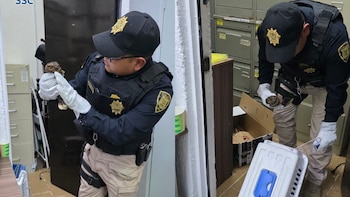 Rescatan a murciélago en domicilio