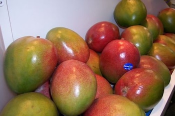 La propuesta exportadora incluyó productos