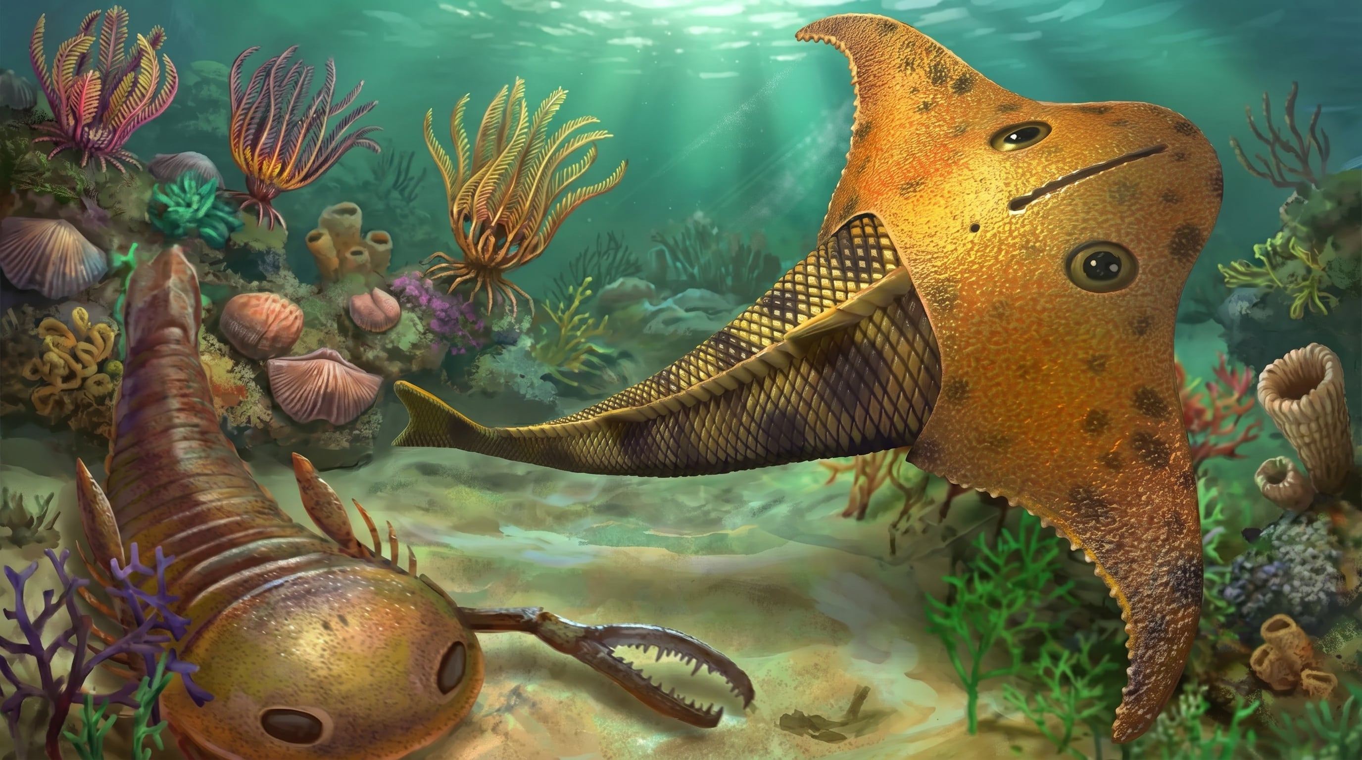 Bataspis crux, el “pez Batman”, fue un vertebrado acorazado de hace más de 400 millones de años que vivió en el Devónico temprano (Imagen Ilustrativa Infobae)