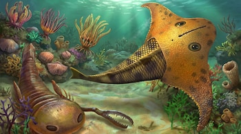 Un pez acorazado de color amarillo y cabeza triangular nada cerca de un escorpión marino y varios corales en el fondo del mar.