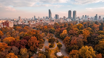 Vista aérea de un parque con árboles de follaje anaranjado y amarillo, caminos curvos y rascacielos al fondo bajo un cielo despejado.