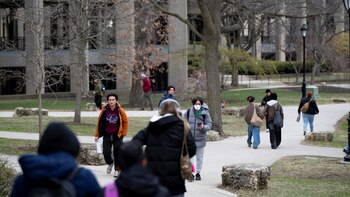 Los estudiantes ya no tendrán
