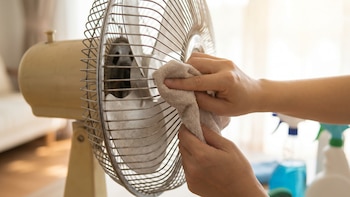 Por qué es importante limpiar el ventilador en verano y cómo hacerlo según los expertos