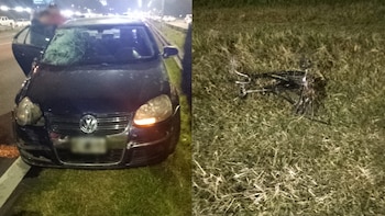 Un niño de 9 años perdió la vida en la Panamericana tras ser embestido por un auto y detuvieron al conductor