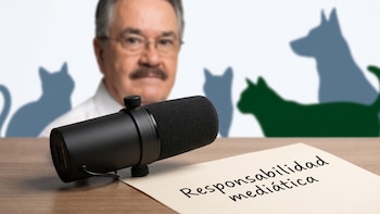 Ley Anti Pedro Sola: qué propone la iniciativa tras polémicos comentarios sobre maltrato animal