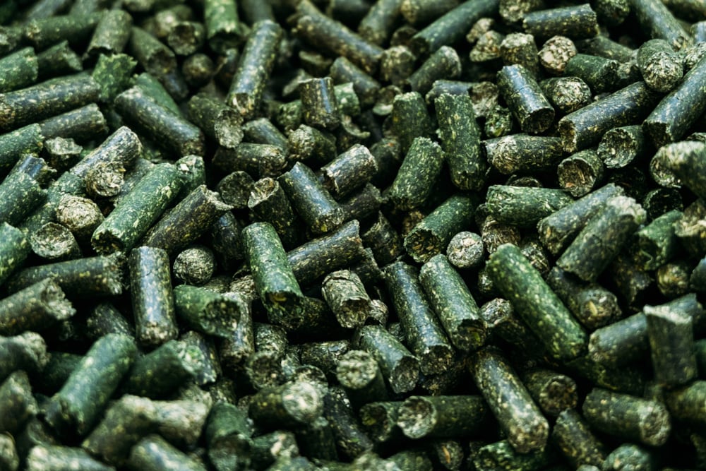 Dentro del total exportado en 2025, los productos forrajeros concentraron la mayor parte del volumen con 144.328 toneladas, mientras que la harina y pellets de alfalfa representaron 22.983 toneladas (Foto: Shutterstock)