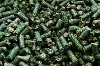 Pellets alfalfa