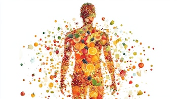 La caída del cabello durante