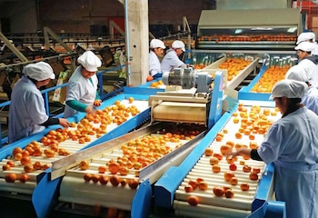 La ampliación y consolidación de los acuerdos comerciales también impulsa los resultados del sector.