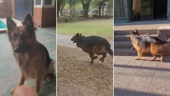 Sergio Aragoní, dueño de León,