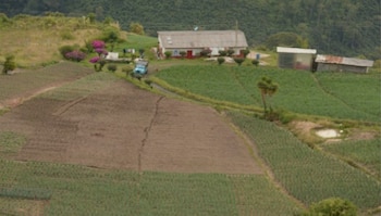 El proyecto busca que a