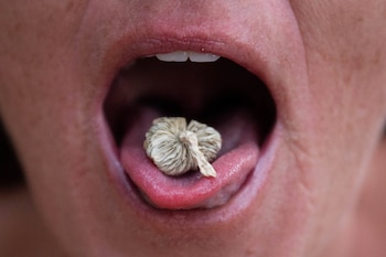 Imagen 6MXHZPMM4FG5ZFVVZW6Q4HN24Y