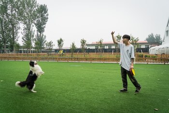 “Estas son solo especulaciones y