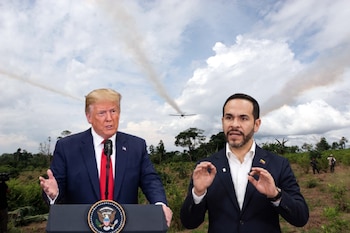 Así reaccionó el país a la decisión de Estados Unidos de mantener la descertificación a Colombia en la lucha contra las drogas - crédito Colprensa/Imagen ilustrativa Infobae
