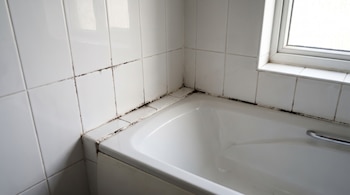 Una bañera blanca y azulejos de pared con manchas de moho negro en las juntas, situados junto a una ventana.