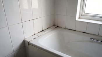 Tres ingredientes para limpiar las juntas y esquinas negras del baño que se generan por la condensación