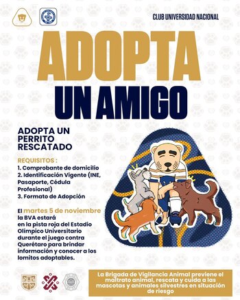 Pumas
