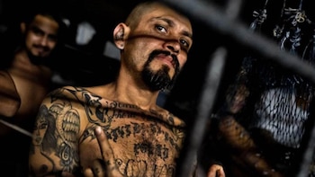 Las pandillas de Los Ángeles