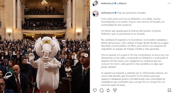Luis Carlos Rúa - Elefante Blanco