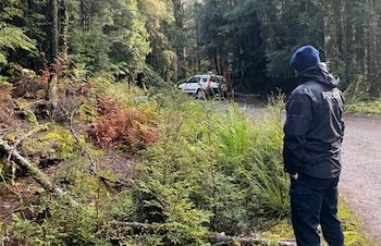 Un voluntario localizó huesos humanos