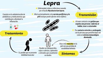 Los síntomas más evidentes que