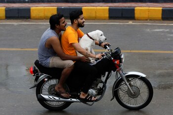 Perros en motocicletas, sería otra