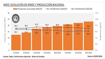 El maíz va por otro récord
