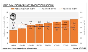 Evolución de la producción de maíz en Argentina