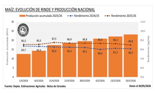 Récord histórico: maíz argentino proyecta 64 millones de toneladas