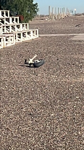 Una de las ruedas de