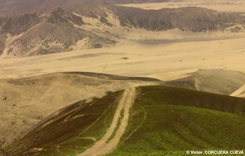 La Libertad - Lomas - Ecosistema - Perú - 28 abril