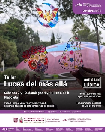 Esta actividad lúdica está recomendada para mayores de 13 años en adelante, según el museo. (Foto: MHNCA)