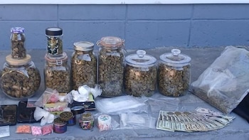 Las recientes capturas muestran la