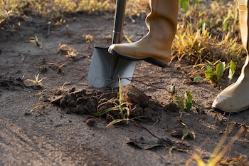 Una agricultor cavando la tierra
