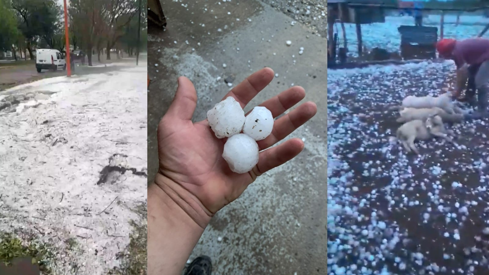 Una fuerte granizada azotó a Santa Fe: familias evacuadas, animales muertos y clases suspendidas