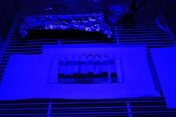 Un momento de la exposición