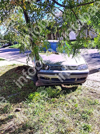 Un automóvil gris con el parachoques delantero dañado tras chocar contra un árbol en una zona arbolada junto a una calle