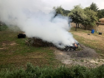 La tradicional quema de rastrojo en la agricultura salvadoreña fue señalada como una práctica riesgosa. (Cortesía: Levente - EMD)