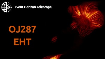 Una observación revela una danza