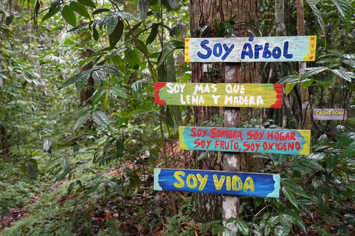 Foto: Jaime Tranca / SPDA