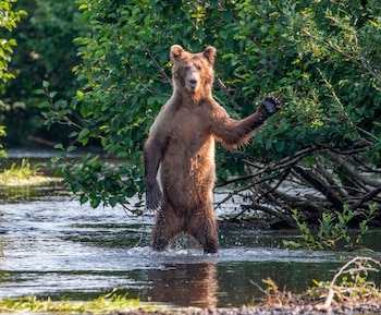 Eric Fisher/ Comedy Wildlife Photography