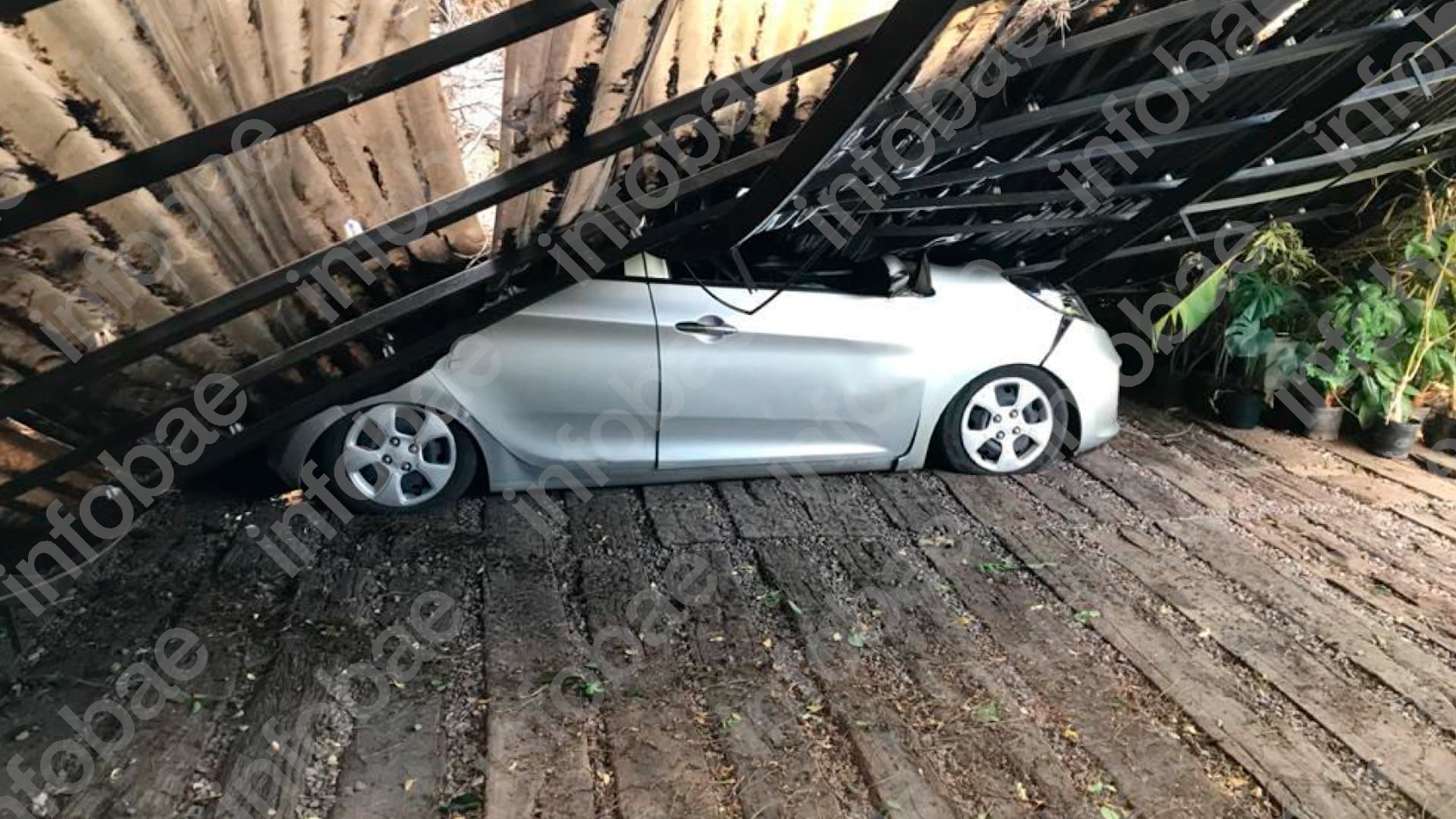 Pidió una inspección urgente por un pino con riesgo de caída, el municipio demoró el trámite y el árbol terminó aplastando su casa: deberán indemnizarlo