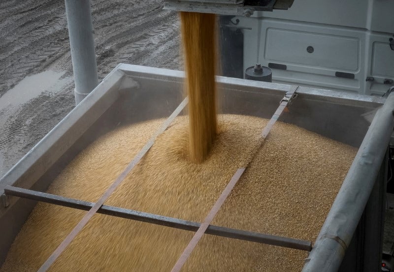 El sector de cereales y oleaginosas liquidó en el acumulado de la primera mitad del año exportaciones por USD 13.378 millones (Foto: Reuters)
