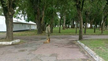 La imagen que causó indignación