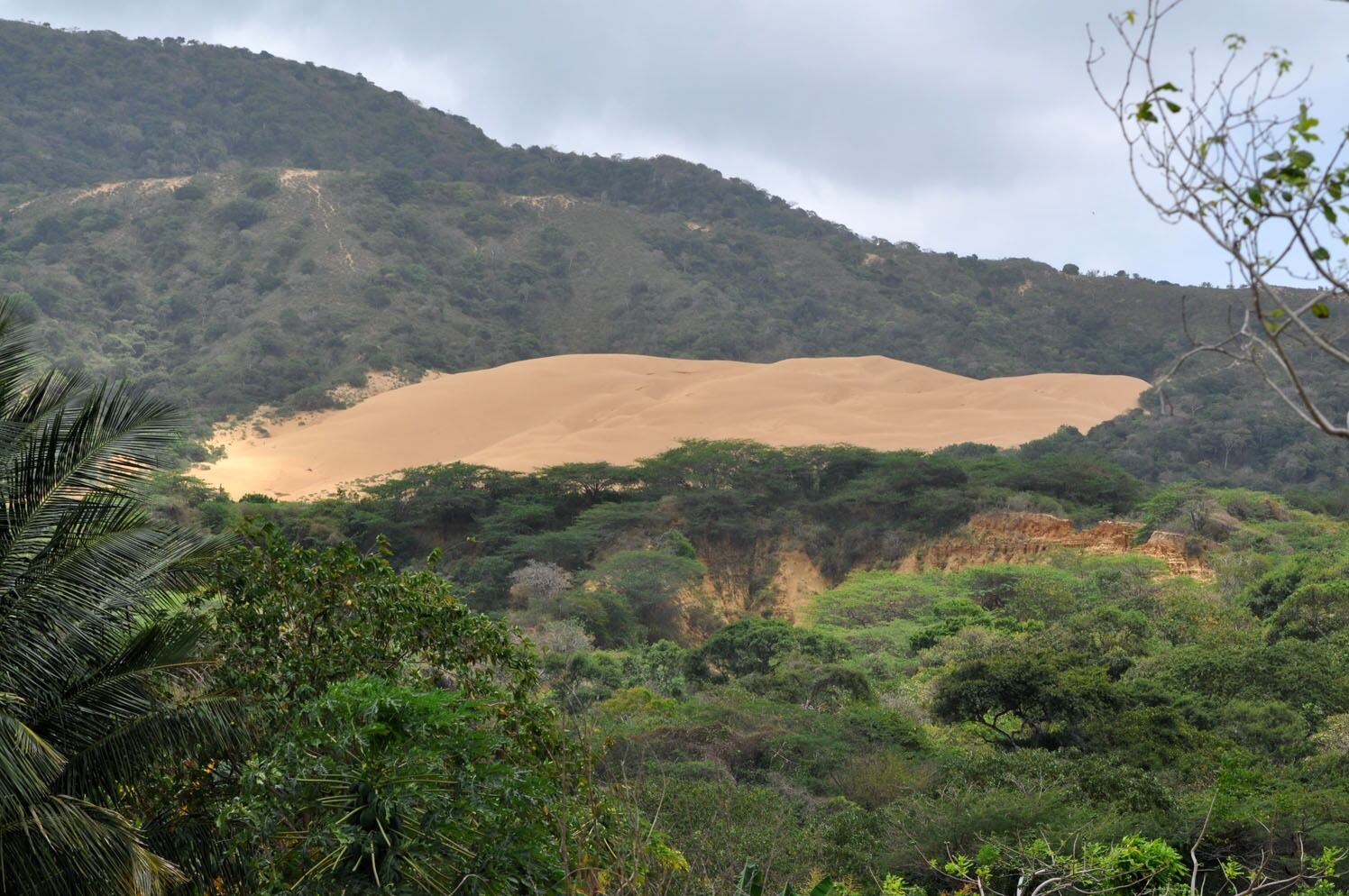 La reapertura de las áreas protegidas dependerá de nuevos comunicados oficiales, basados en la evolución de las condiciones meteomarinas - crédito Parques Nacionales y Naturales de Colombia