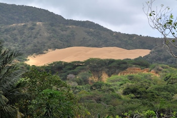La reapertura de las áreas